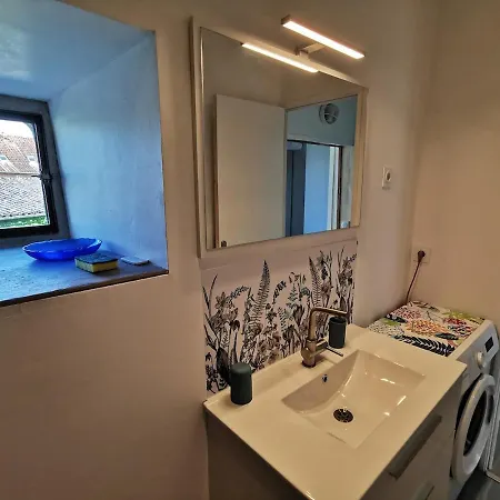 Moulin De Vasiliere 别墅 Salles-Courbatiès