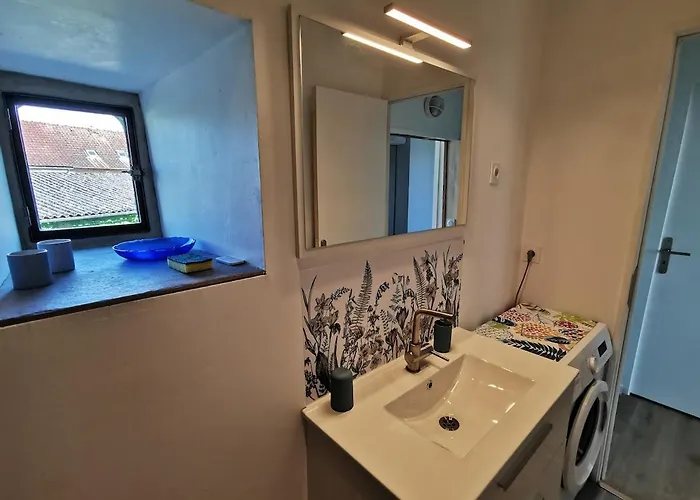 Moulin De Vasiliere ヴィラ Salles-Courbatiès